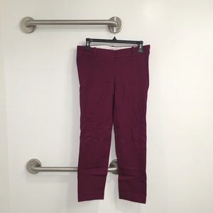 Orchid Purple J.Crew Pants